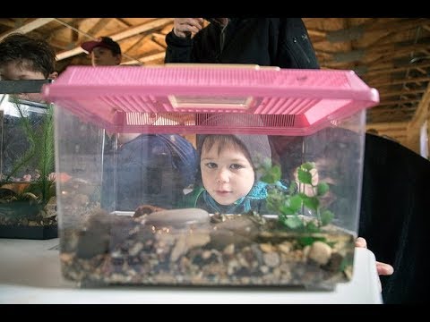 Gateway Technical College- Celebrate Earth Day 2018