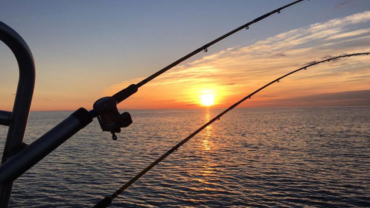 Journée complète de pêche au saumon en Alaska sur la péninsule de Kenai 2026