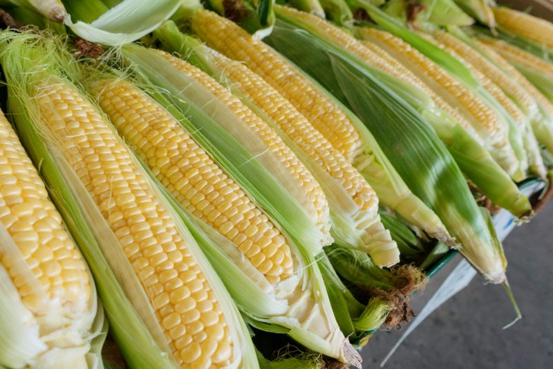 Corn