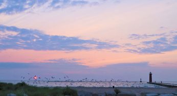 Capturing Kenosha: Lake Michigan shoreline a great birding location
