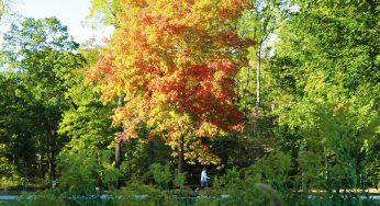 Capturing Kenosha: Don’t feel blue about the changing seasons
