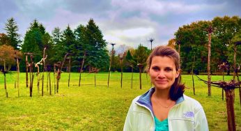 Hawthorn Hollow announces new art installation