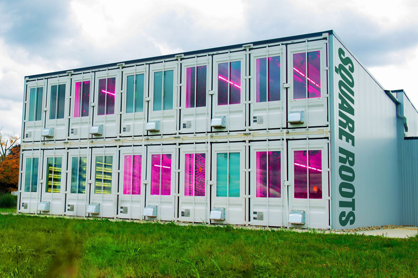 Indoor Farming Leader Square Roots Opens New Farm In Kenosha Kenosha