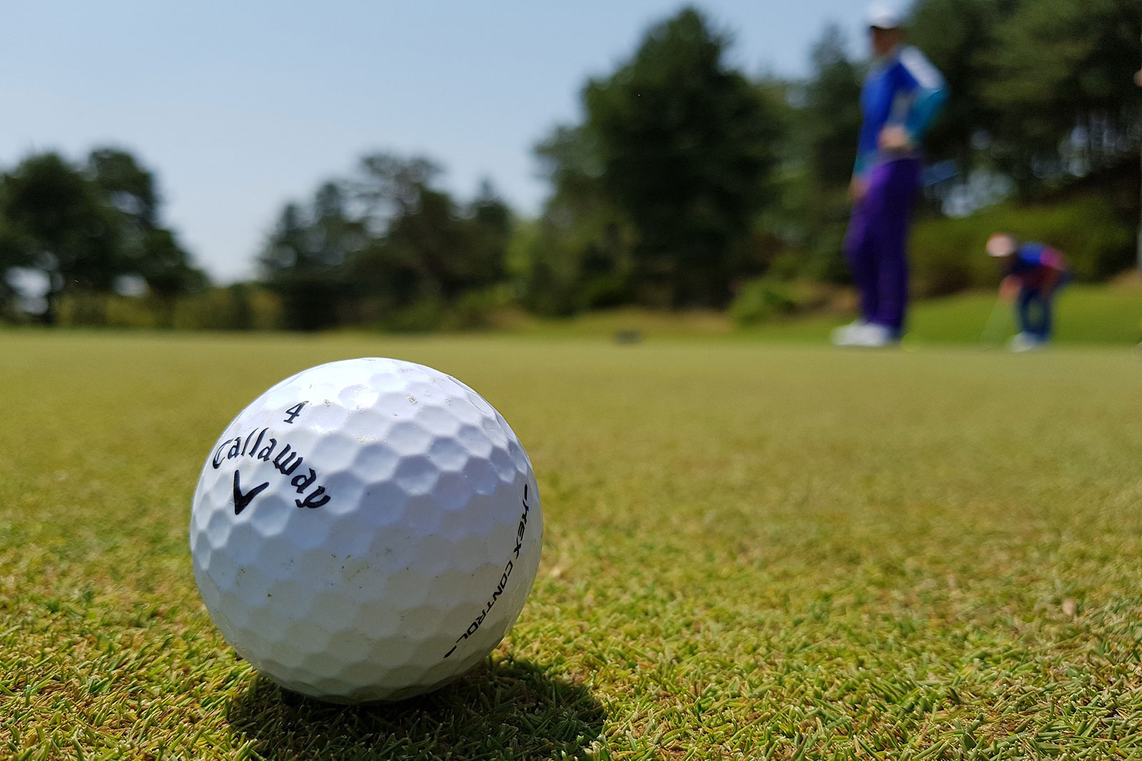 Kenosha County golf courses to open for the 2022 season - Kenosha.com