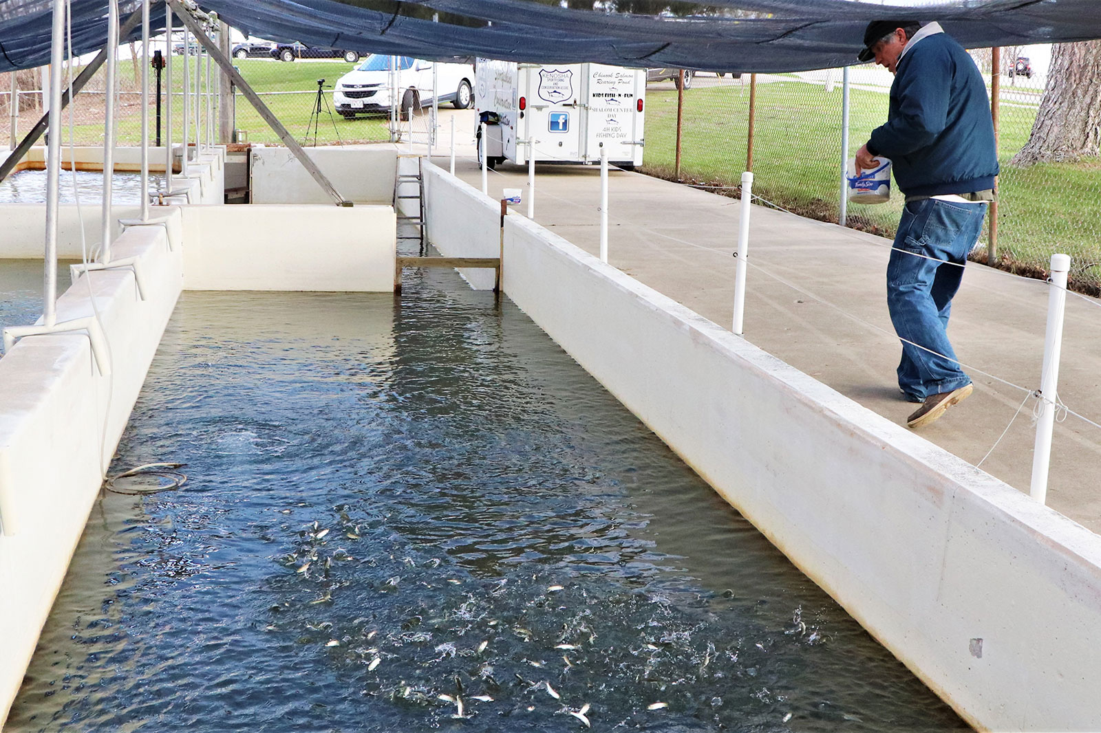 Capturing Kenosha: Fish rearing pond has been active as usual this