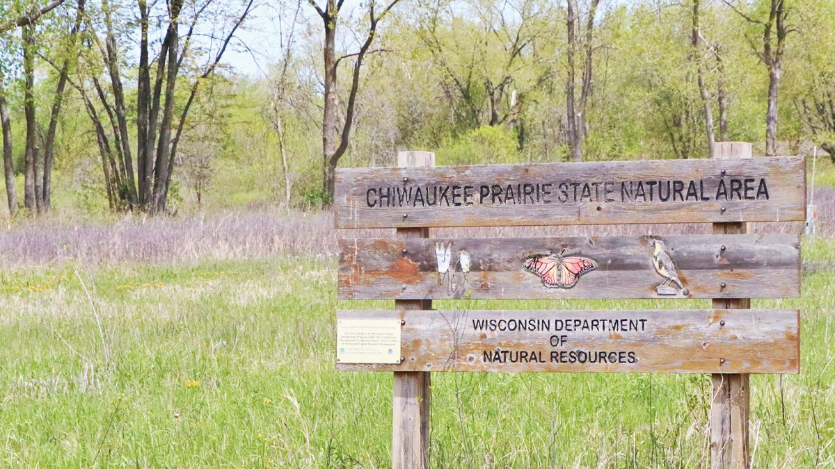 Capturing Kenosha: Checking out the Chiwaukee Prairie - Kenosha.com