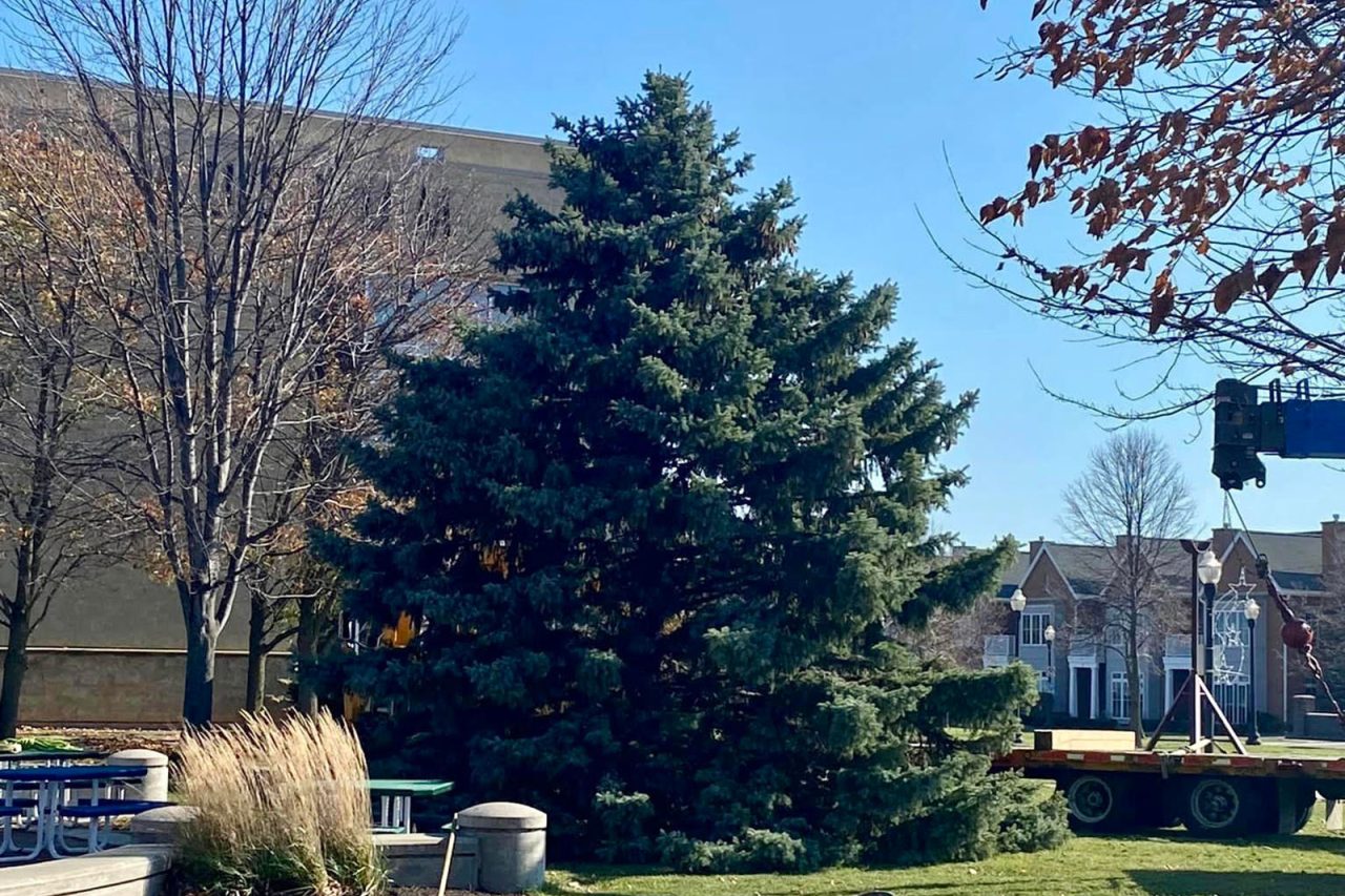 City of Kenosha tree lighting, downtown celebration set for Nov. 25