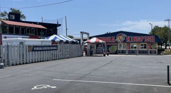Kingfish season down to the wire
