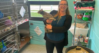 Kenoshan of the Week: Amanda Cutler