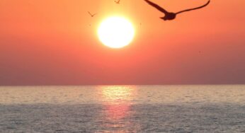Capturing Kenosha: July, 7 2024