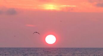 Capturing Kenosha: July, 11 2024