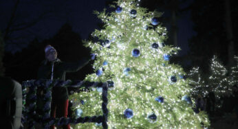 The Lightin’ Up celebration continues in 2024!