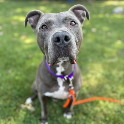POTW Apollo