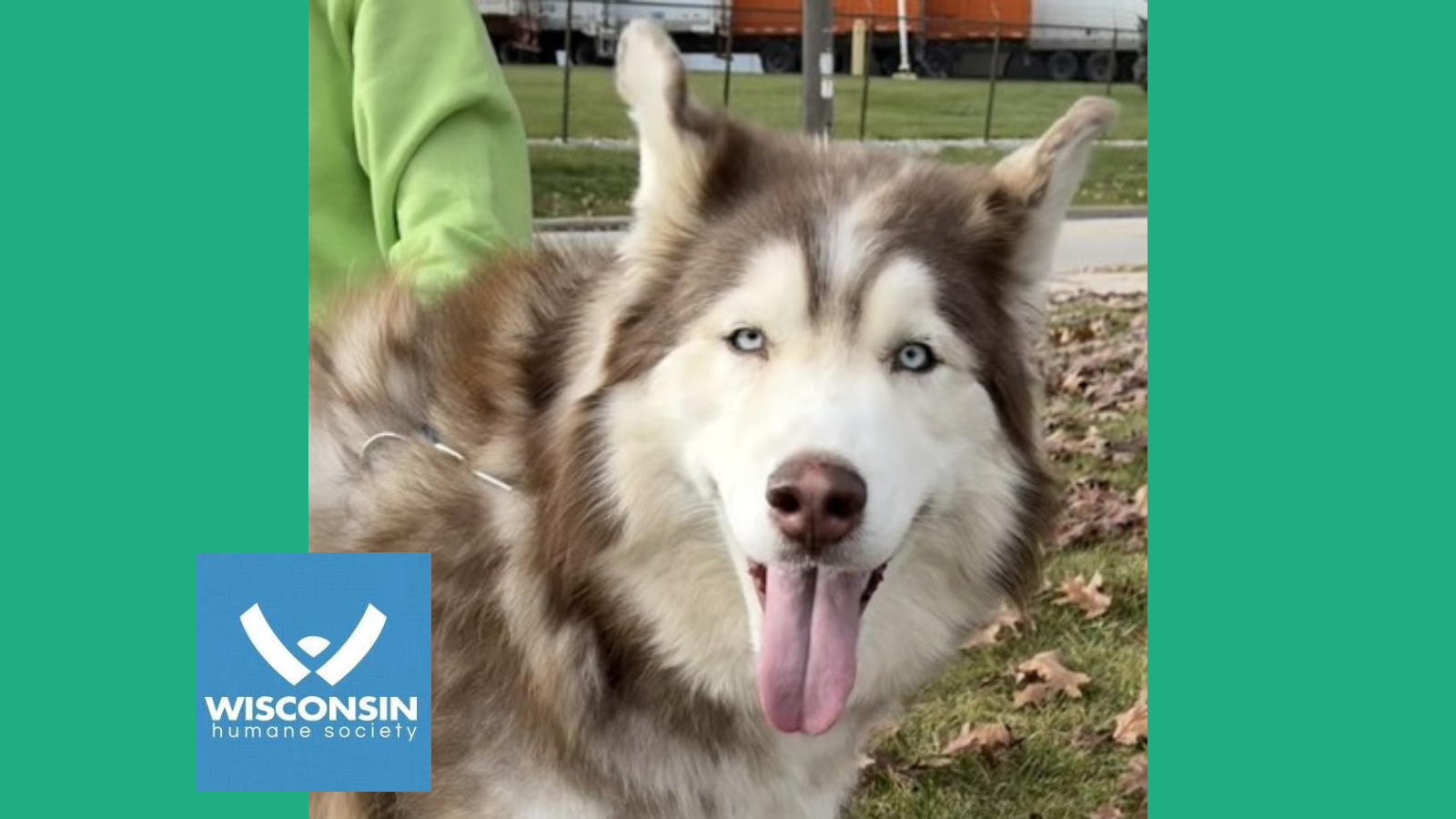 Kenosha.com POTW Leo