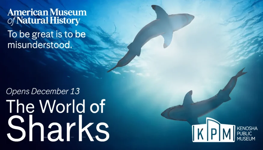 Kenosha Public Museum World of Sharks Exhibition