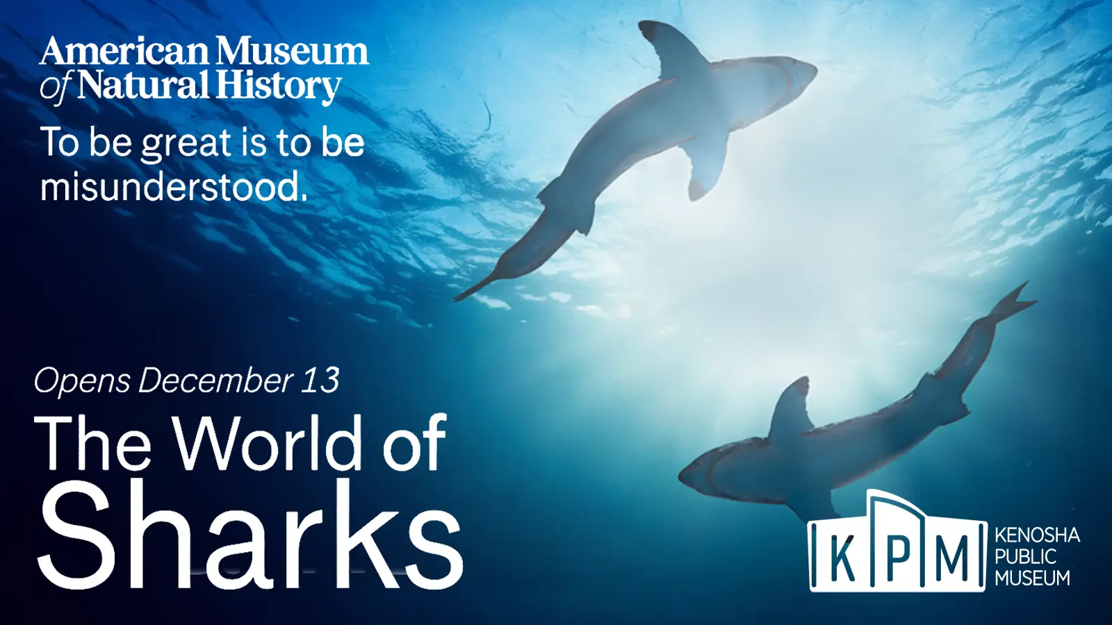 Kenosha Public Museum World of Sharks Exhibition