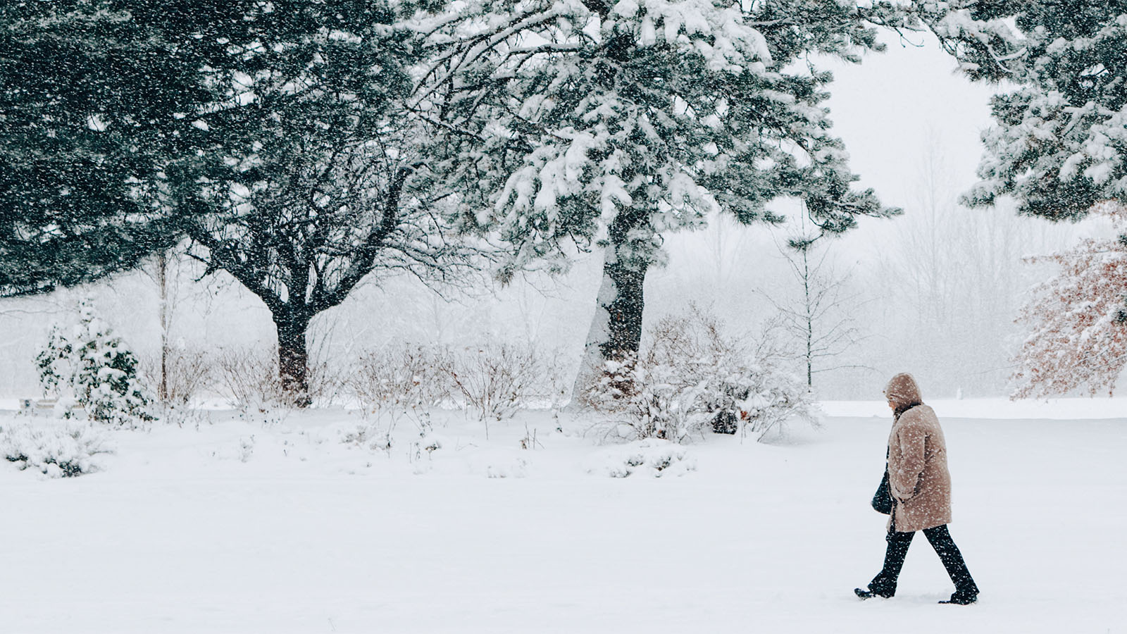 Hot Tips for Cold Weather - person walking in snow