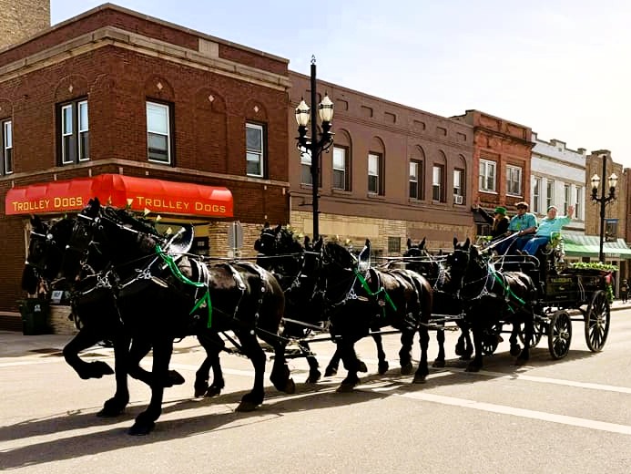 Horse Drawn Carriage from Kenosha’s Second Annual St. Patrick’s Day Parade