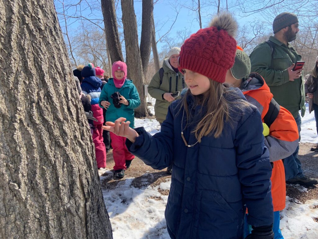 Maple Sugarin' Time at Hawthorn Hollow Nature Sanctuary - Maple Syrup bottles