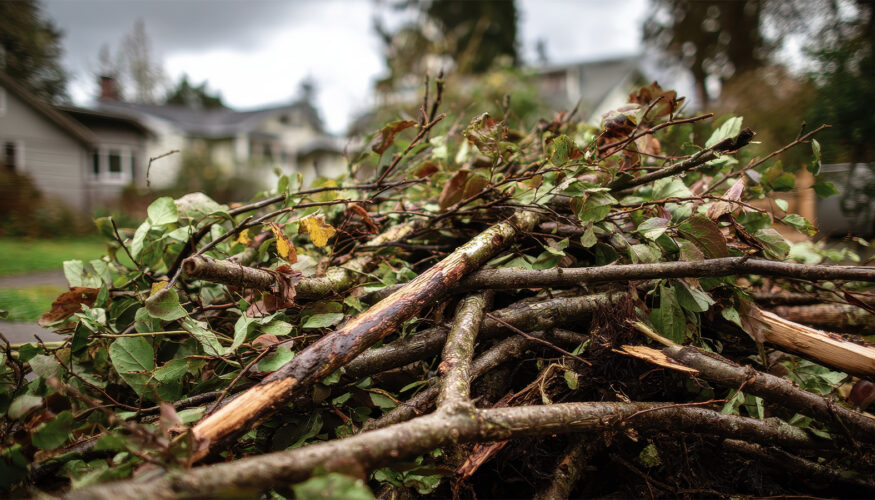 Brush Debris - City of Kenosha Announces Curbside Pickup for Storm Debris