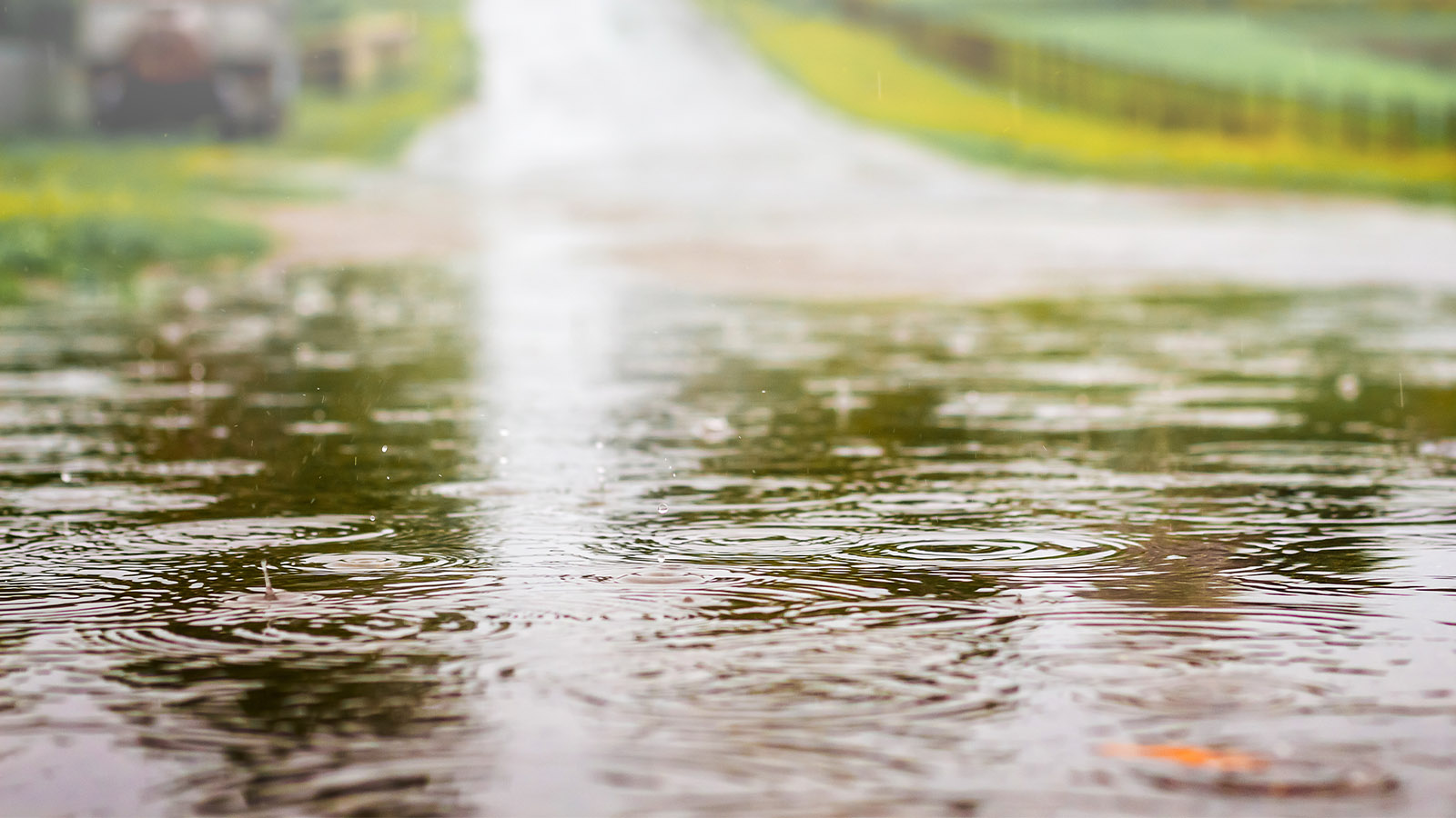 Flood Waters on road near homes Flood Waters on road near homes - Kenosha County offering free well-testing service