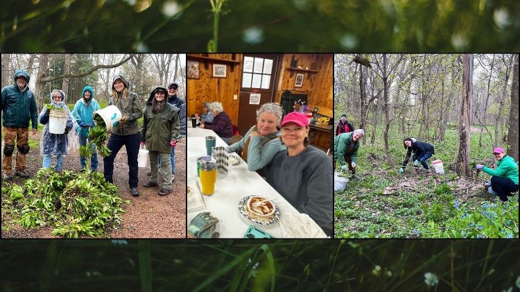 Hawthorn Hollow Earth Day Celebrations - Garlic Camp Collage