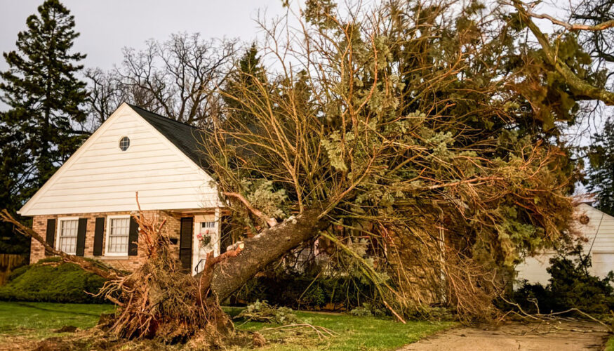 Kenosha Storm Damage April 2, 2026 - Photo Credit PrintiBee - PrintiBeeGifts.com