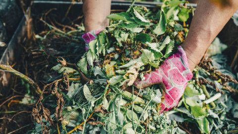 Kenosha’s Spring Compost Pickup Returns April 27 - Kenosha.com