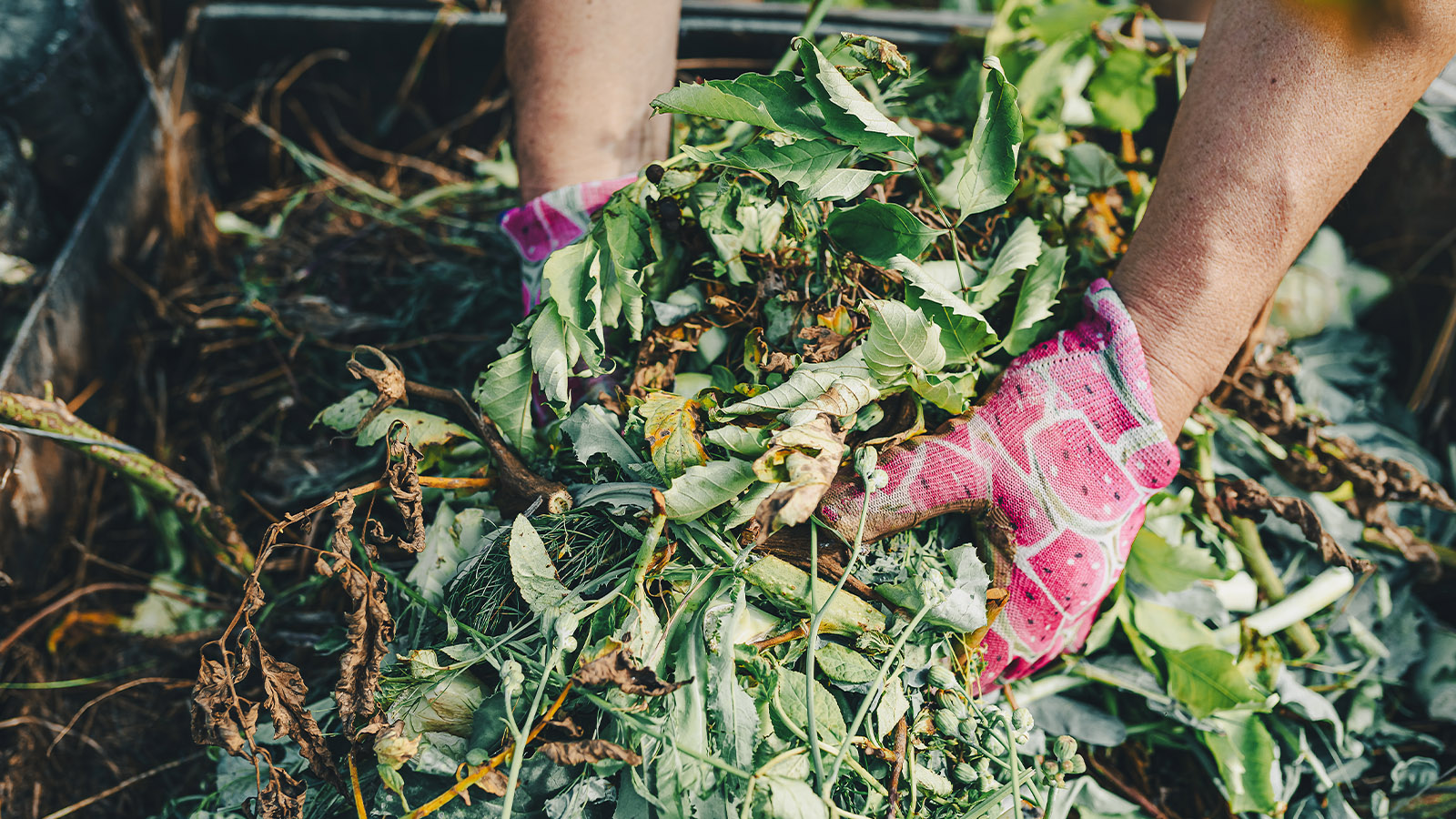 Kenosha’s Spring Compost Pickup Returns April 27 Kenosha’s Spring Compost Pickup Returns April 27