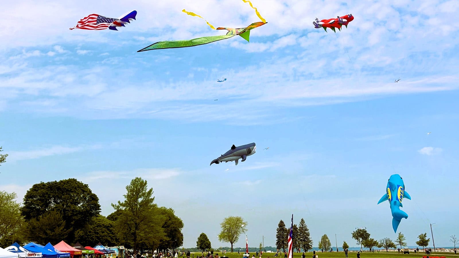 Outta Sight Kite Flight Outta Sight Kite Flight